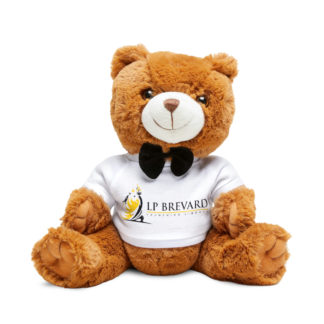 Teddy Bear - LPBrevard
